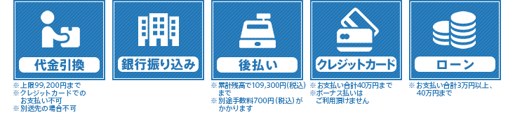 代金引換（※上限99,200円まで ※クレジットカードでのお支払い不可 ※別送先の場合不可）/銀行振り込み/後払い（※累計残高で107,500円（税込）まで ※別途手数料500円（税込）がかかります）/クレジットカード ※お支払合計40万円まで ※ボーナス払いはご利用頂けません/ローン（※お支払い合計3万円以上、40万円まで）