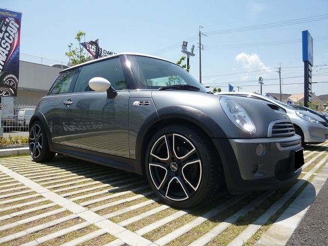 ダイヤ　ミニワンピ フェイク反転襟付半袖ミニワンピース 全2色 ミニワンピース[品番