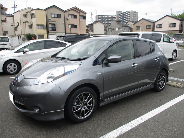 リーフ ZE0 AZE0 | 装着ギャラリー | カーポートマルゼン