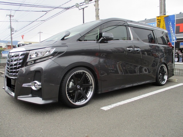 アルファード 30系 DBA-AGH30W(30系) | 装着ギャラリー | カーポート