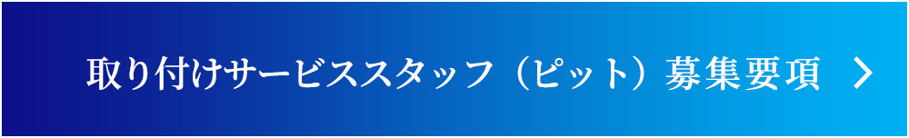 取り付けサービススタッフ（ピット）募集要項
