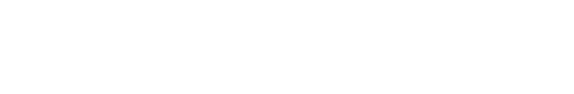 CUSTOM PROJECT